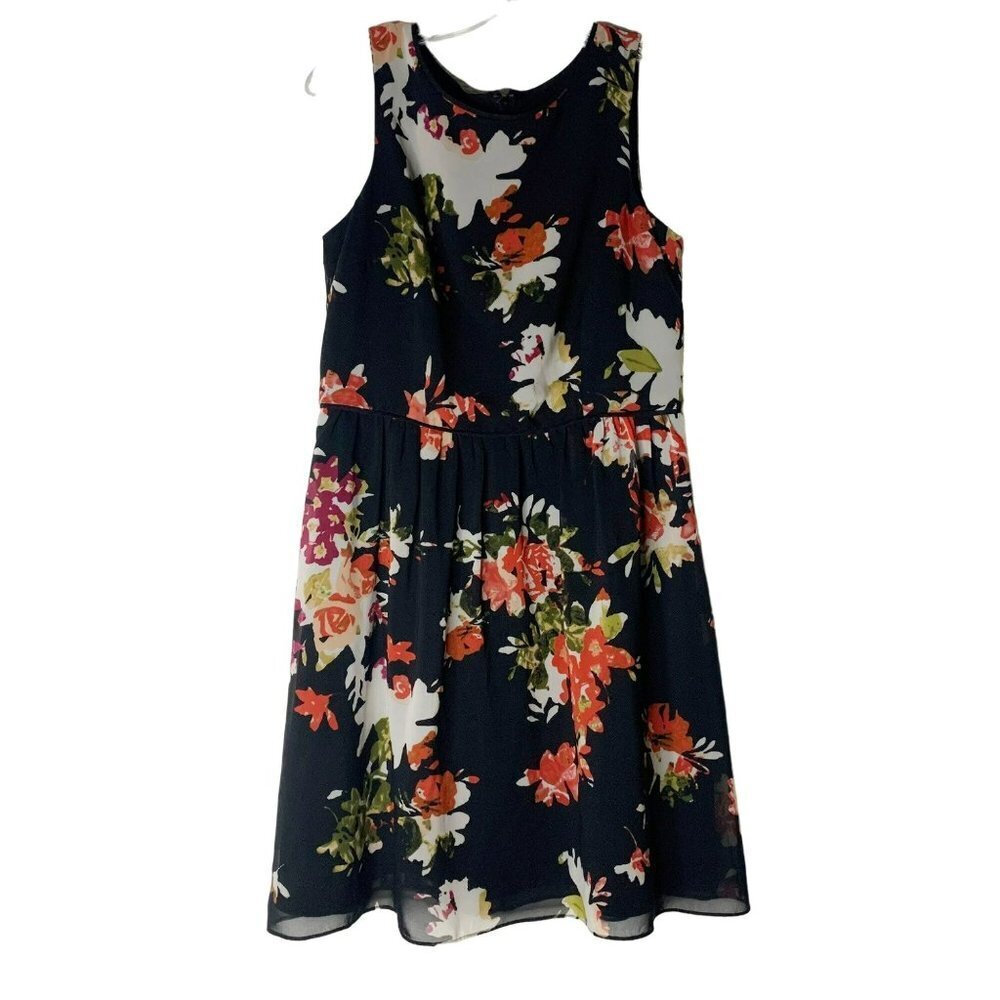 Ann Taylor Loft Chiffon Black Floral Sleeveless Fit & Flare Dress